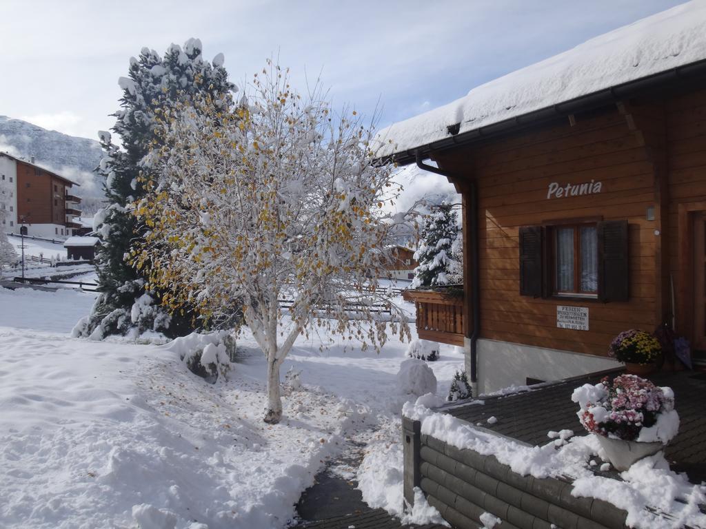 Chalet Petunia Grachen Exterior photo